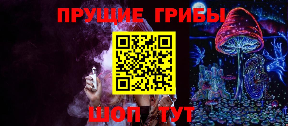 Псилоцибиновые грибы GOLDEN TEACHER  Вход с VPN  Псилоцибиновые грибы Magic Shrooms  Луга 